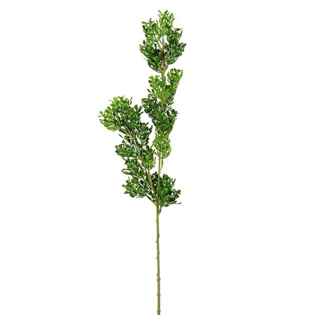 Vickerman 27 in. Green Boxwood Spray FK180301